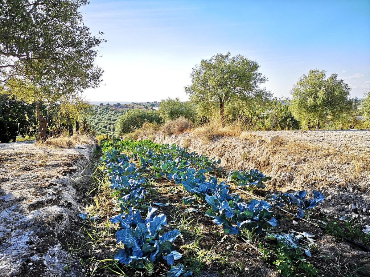 Mennuli&Alivi - Organic Farm Villa Noto Exterior photo